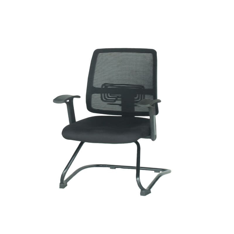 Visitor - Mustang VC